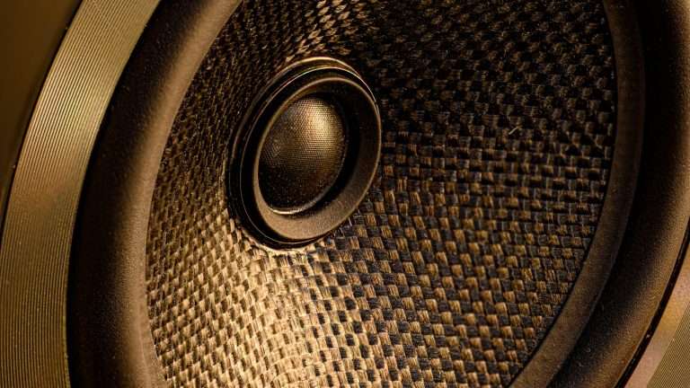 Image of a speaker