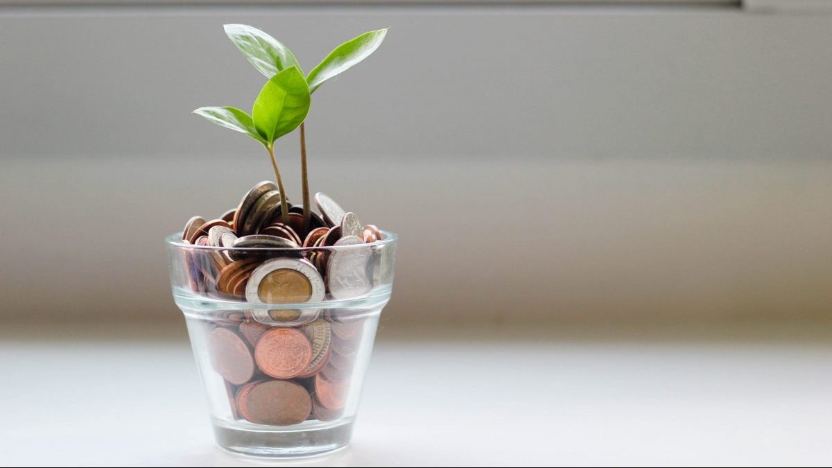 Glass full with coins pretending to be soil for a plant growing with four leaves.